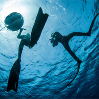 AIDA freediving courses: AIDA 2