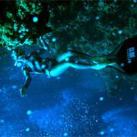 AIDA freediving specialties: Monofin Course
